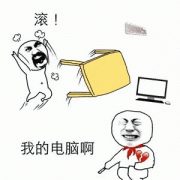 滚!我的电脑啊表情包