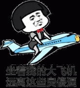坐着我的大飞机 远离这些臭傻逼表情包