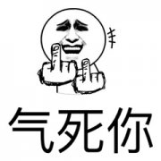 我气死你 鄙视你表情包