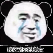 （臭不要脸表情包）我这该死的美女表情包
