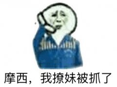 摩西摩西 我撩妹被抓了啊表情包