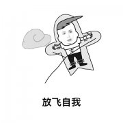 放飞自我 把自己当风筝放飞表情包
