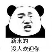新来的 这里没有人欢迎你表情包