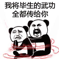 我现在将我毕生的功力传给你表情包