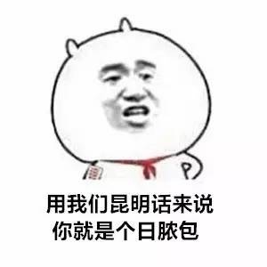 各地方言表情包大全 用东北话你就是要给傻狍子表情包 各地方言表情包大全 用东北话你就是要给傻狍子表情包