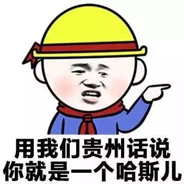 各地方言表情包大全 用东北话你就是要给傻狍子表情包 各地方言表情包大全 用东北话你就是要给傻狍子表情包