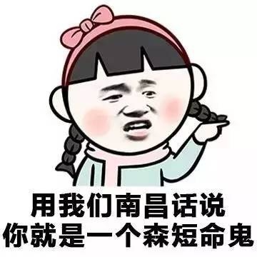 各地方言表情包大全 用东北话你就是要给傻狍子表情包 各地方言表情包大全 用东北话你就是要给傻狍子表情包