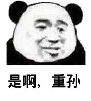 是啊 我的重孙表情包