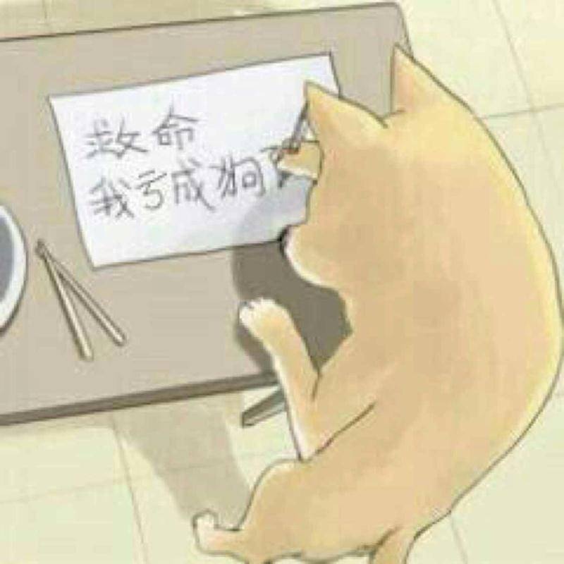 （救命啊表情包）救命啊 我都亏成狗了表情包