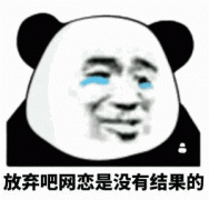 放弃吧 网恋是不会有结果的表情包