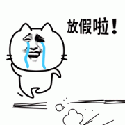 （高兴地流泪）放假啦表情包