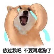 求求你 放过我吧 不要再虐狗了表情包
