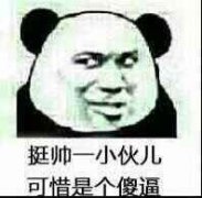 挺帅一小伙 只可惜是一个傻逼表情包