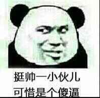挺帅一小伙 只可惜是一个傻逼表情包