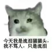 我是流泪猫猫头 不骂人 只流泪表情包