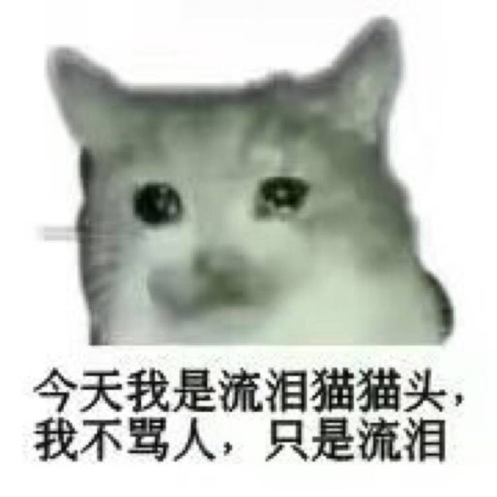 我是流泪猫猫头 不骂人 只流泪表情包
