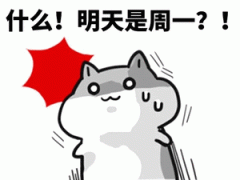 你说什么 明天是周一吗表情包