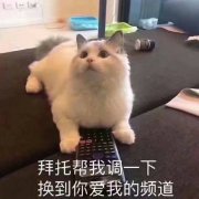 你能帮我调一下吗 换到一个你爱我的频道表情包