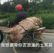 我要带你去浪漫的土耳其表情包