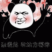 （熊猫表情包）亲爱的 老地方等你表情包