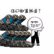 你们完了 竟然敢盗我图表情包