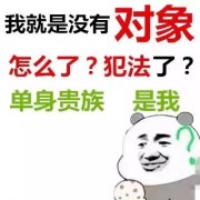 我就是没有对象怎么了 单身贵族就是我表情包