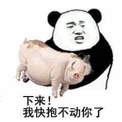 你下来 我快抱不动你了表情包