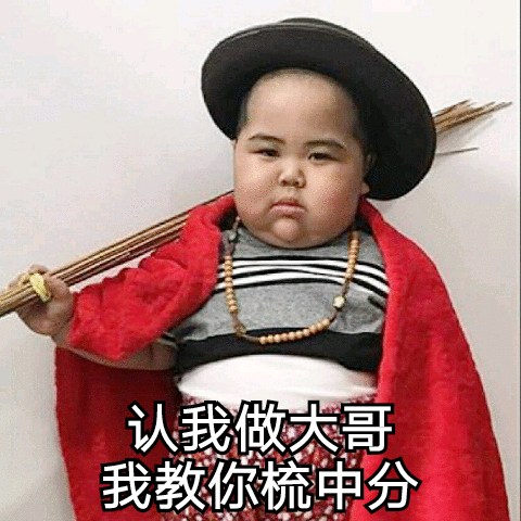 认我做大哥 我教你梳中分表情包