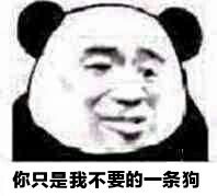 你只是我不要的一条狗表情包