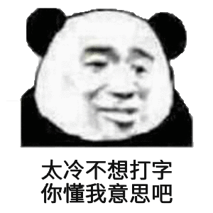 这天太冷了 不想打字 你懂吧表情包