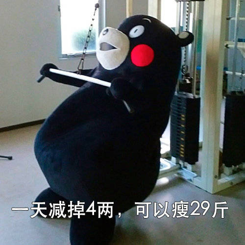 一天减掉4两，可以瘦29斤表情包