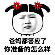 爸妈都已经答应了 你准备的怎么样了表情包