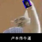 主播卢本伟牛逼（打牌表情包）表情包