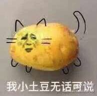 （小土豆表情包）小土豆无话可说表情包