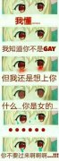 我懂 我知道你不是GAY表情包