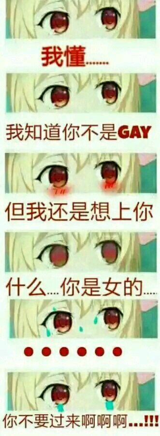 我懂 我知道你不是GAY表情包