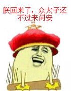 朕回来 了，众太子还不过来问安表情包
