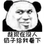 趁现在没人奶子给我看下表情包