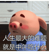 我人生中最大的难题就是中午吃什么表情包