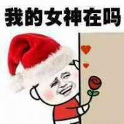 我的女神在吗表情包