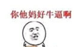 你他妈好牛逼啊表情包