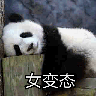 女变态表情包