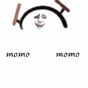 momo momo表情包