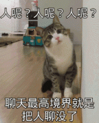人呢？人呢？人呢？表情包