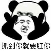 抓到你就要肛你表情包