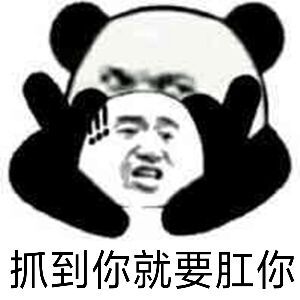 抓到你就要肛你表情包