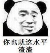 你就是个渣渣表情包 你就是个渣渣表情包