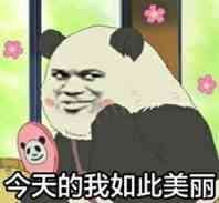 今天的我如此美丽表情包