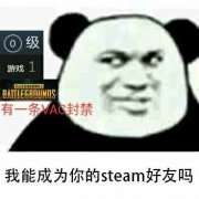 我能成为你的steam好友吗？（有一条VAC封禁）表情包
