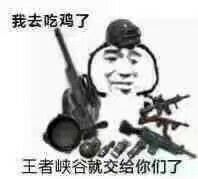 我去吃鸡了王者峡谷就交给你们了表情包